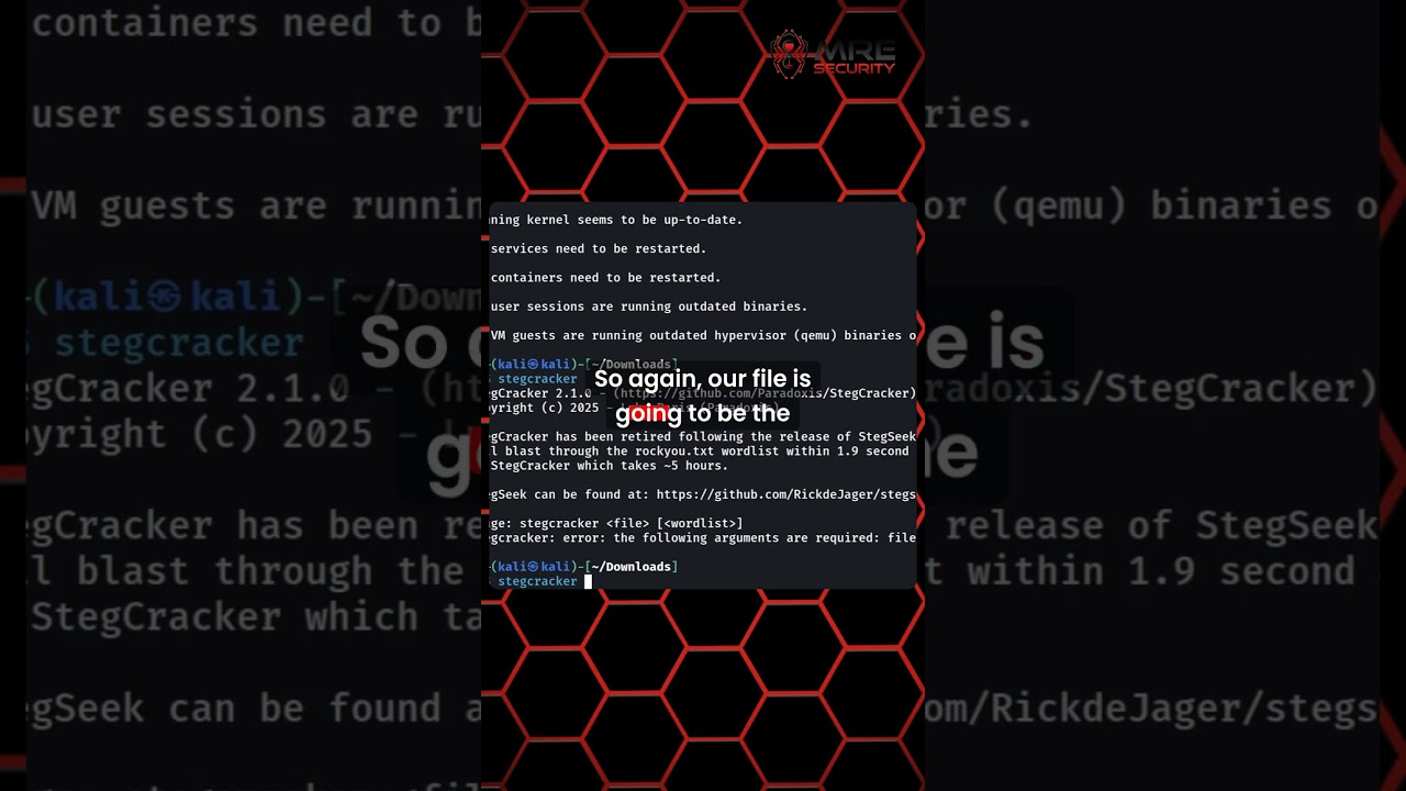 Discover Hidden Data in Images with This One Simple StegHide Trick
