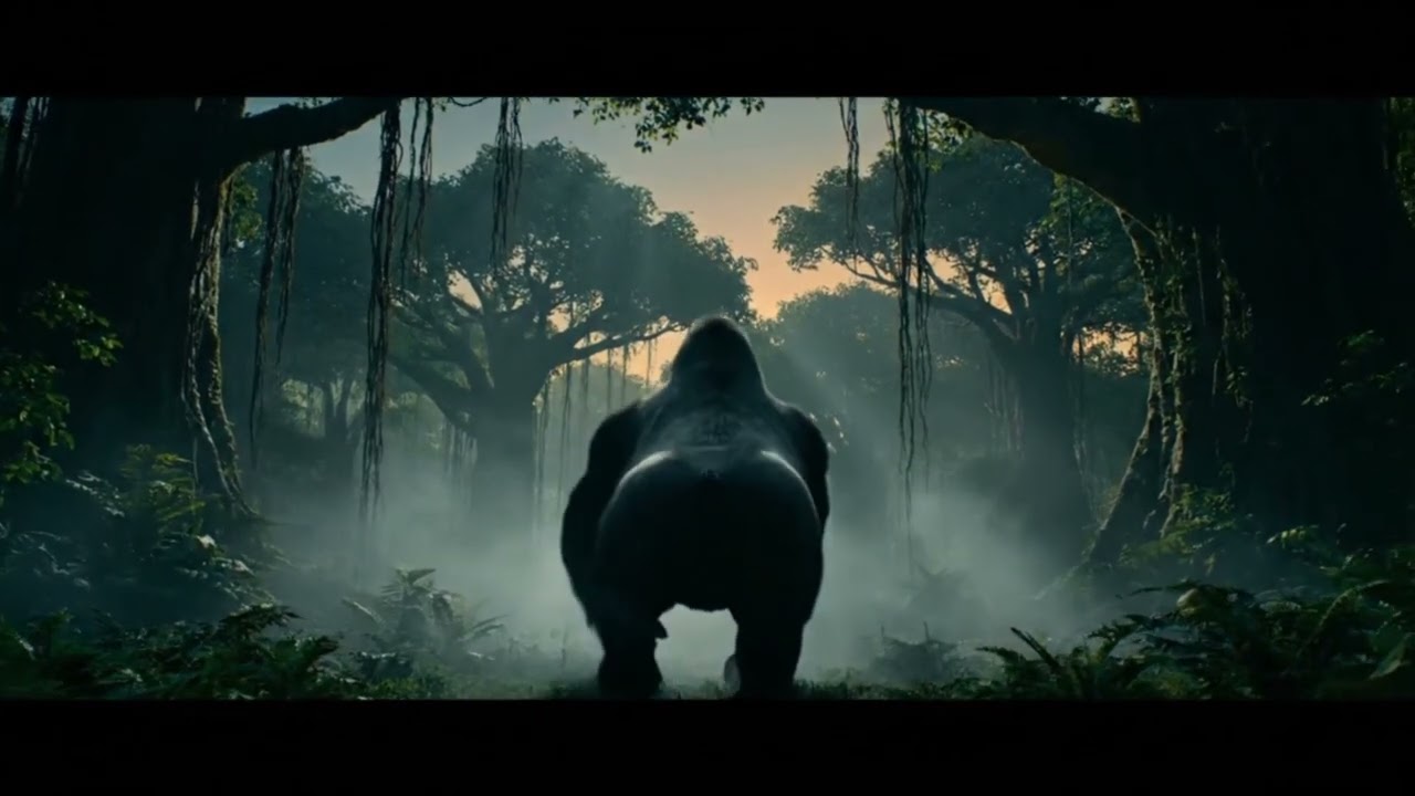 oh no gorilla lose the fight #junglelife #gorilla