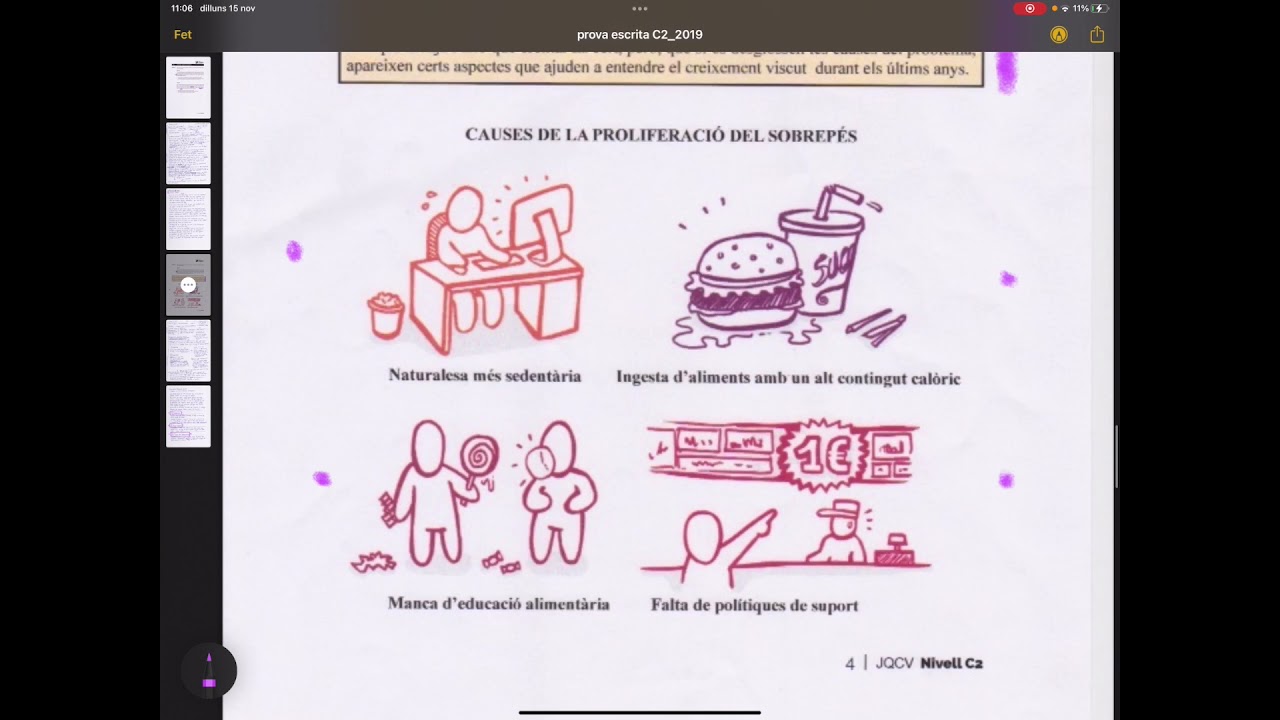 Correcció de dos escrits (model C2 JQCV novembre de 2019)