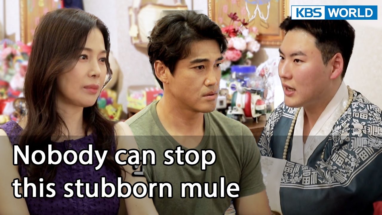 That's why you act like a child [Mr. House Husband : EP.277-4] | KBS WORLD TV 221022