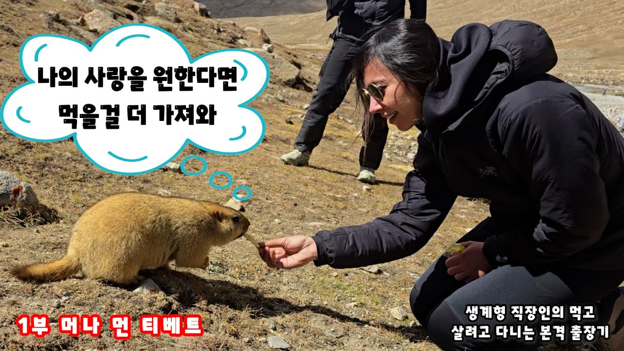 돈 쓰면서 고생하는 티베트 여행 1부 @생계형 직장인 이현석​