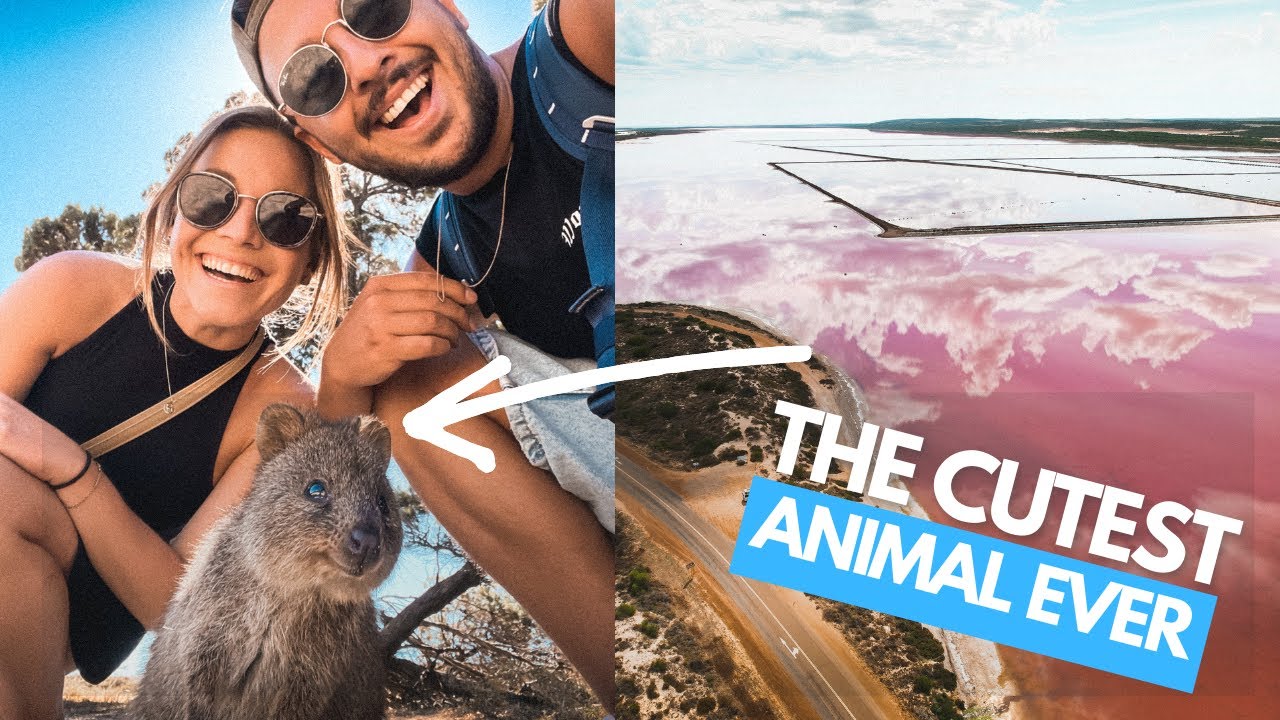 Western Australia blew our minds! PINK lake & the CUTEST animal