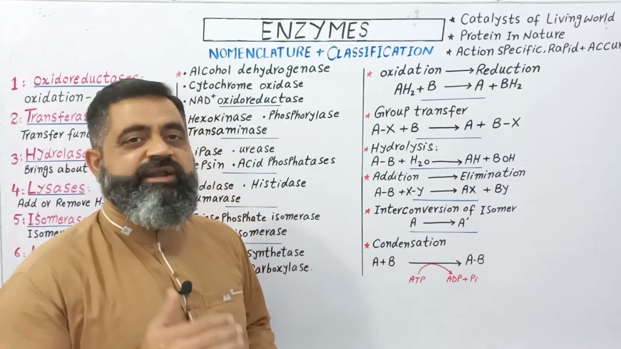 Classification of Enzymes Urdu/Hindi Medium @prof.masoodfuzail#enzymes #classificationofenzymes