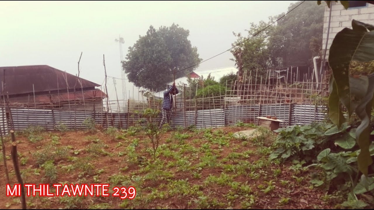 Current line chhe siamte thiltawn mak // An buk ah ramhuai a che em ni ( Mi Thiltawnte 239 )