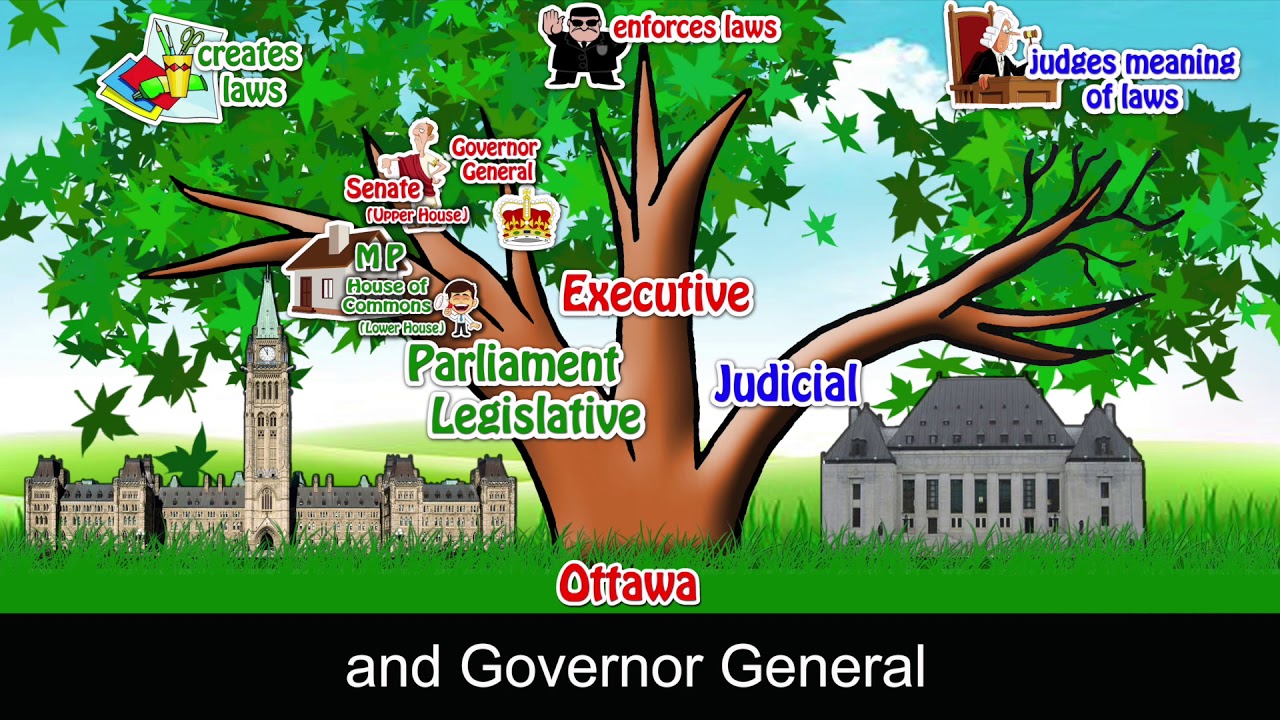 3 Branches of Canada's Federal Government