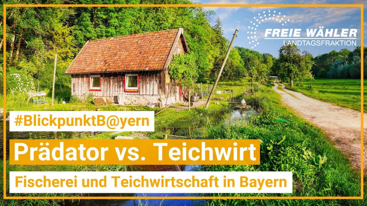 Blickpunkt B@yern: Einf&uuml;hrung in die Teichwirtschaft und Fischerei in Bayern