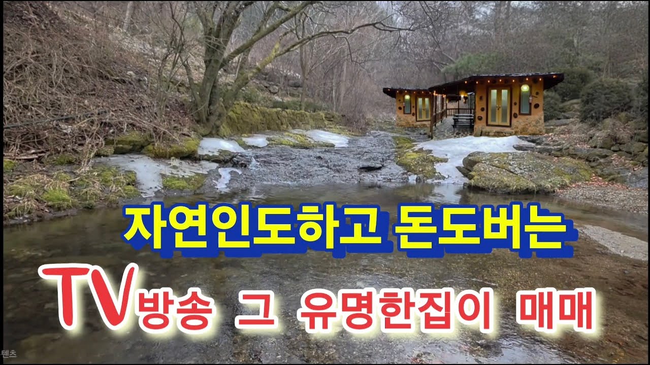 돈도벌고 자연인도하는 특별한 집이 나왔다!