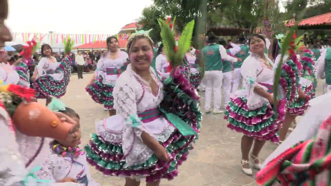 COMPARSA JUVENTUD ALEGRES DE TICACO EN EL PASACALLE - TICACO 2026