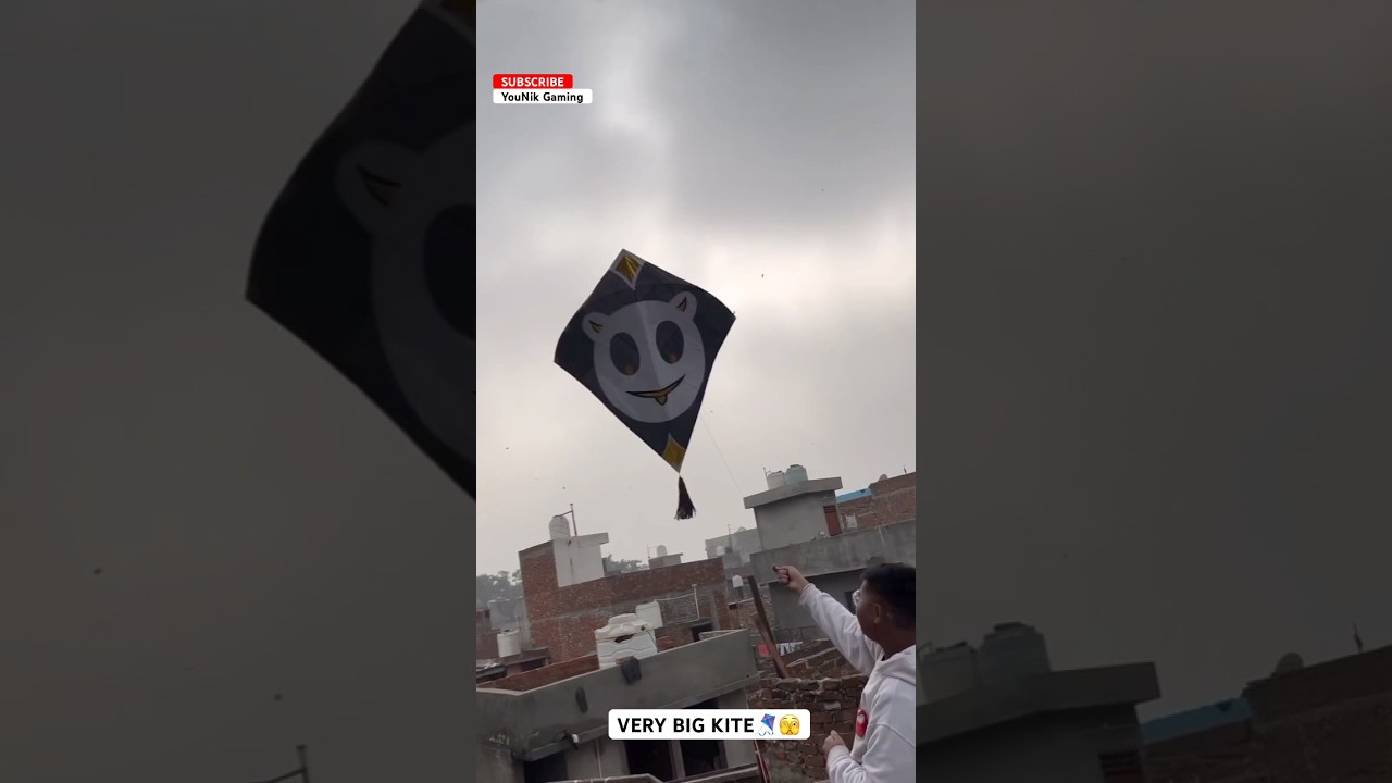 BEAUTIFUL KITE FLYER 😍 