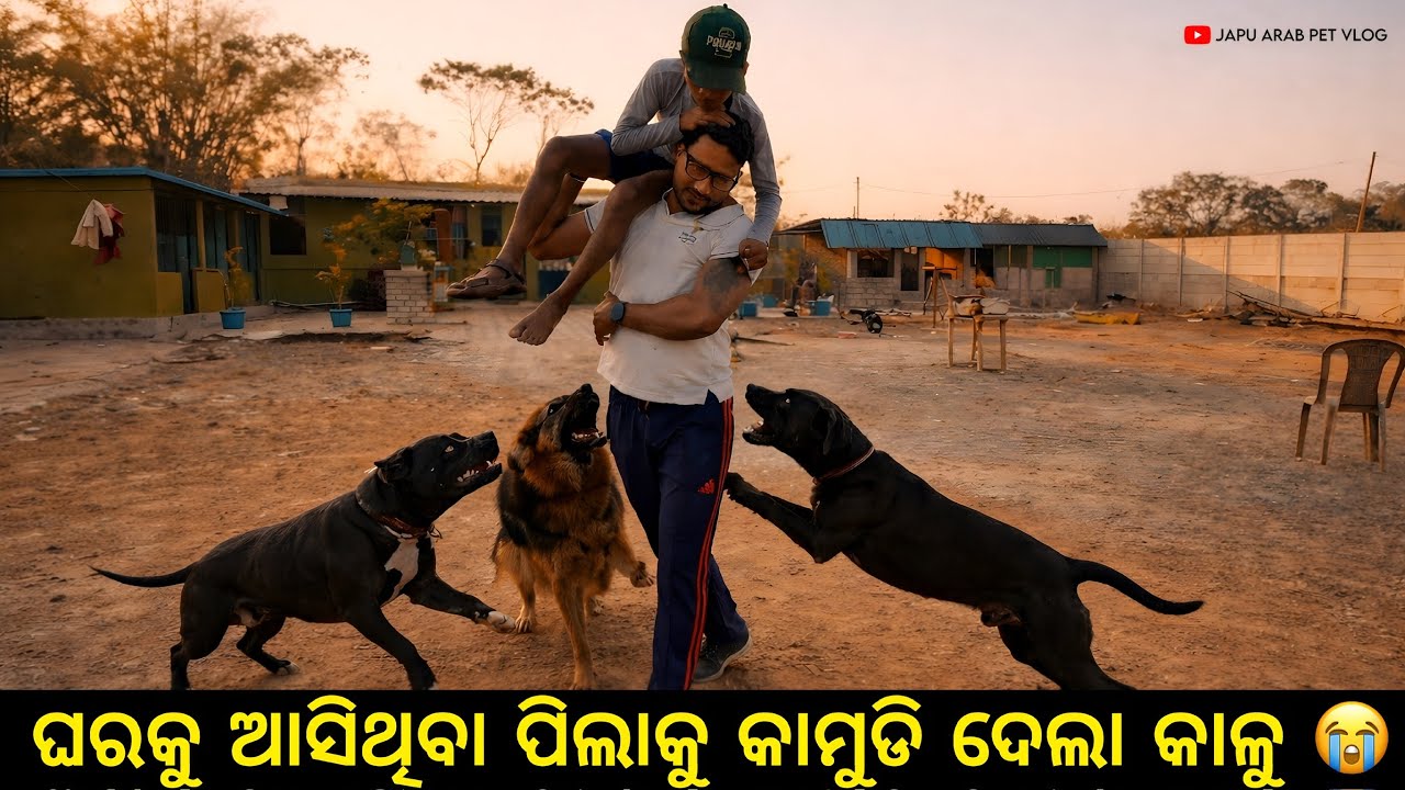 ଆରେ ଆରେ ଏ କ'ଣ କରିଦେଲା କାଳୁ 😡? || କାହିଁକି କାଳୁ ହଠାତ ଏମିତି କରିଲା 😢