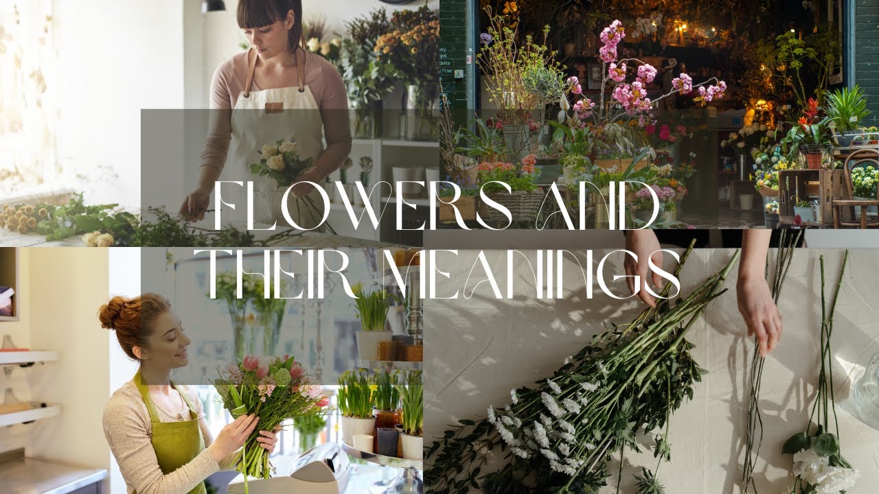 FlOWERS AND THEIR MEANING| FLORISTICS|TUTORIAL