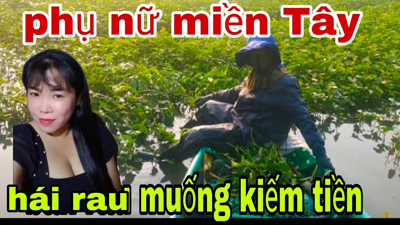 15  (1). Phụ nữ miền tây sáng sớm ra Đà Lạt hái rau muống kiếm sống hàng ngày