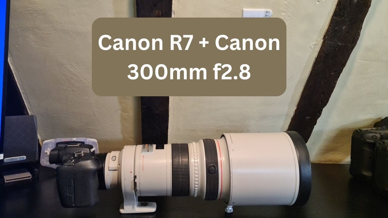 Canon R7 — насколько хорошо он работает с объективом Canon 300mm F2.8?