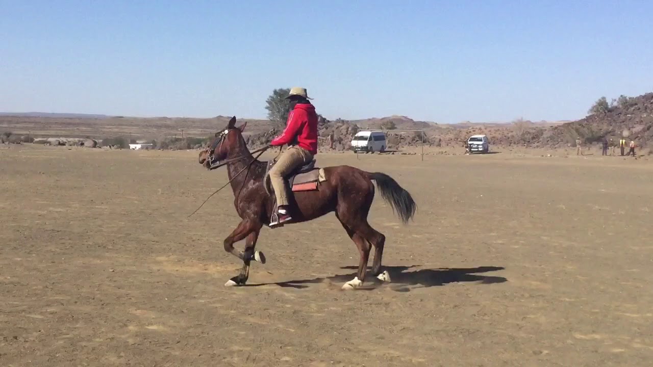 //Habobe Nama Festival