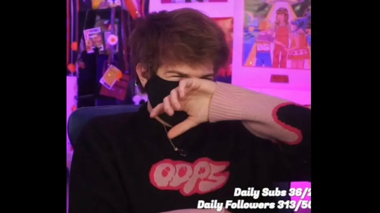 Service Dog TikTok Compilation!|Part 2|DuckieTheDuck