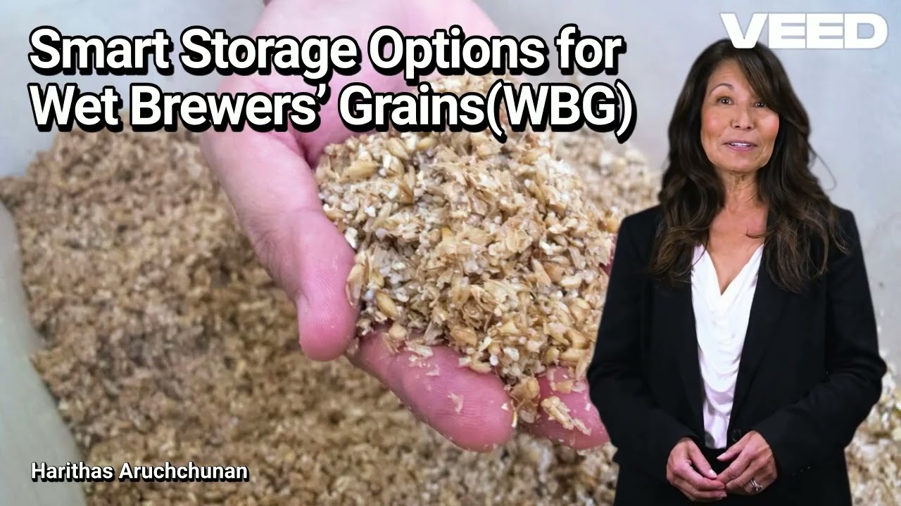Turning Brewery Waste into Dairy Cattle Gold : Smart Storage Options for Wet Brewers’ Grains(WBG)