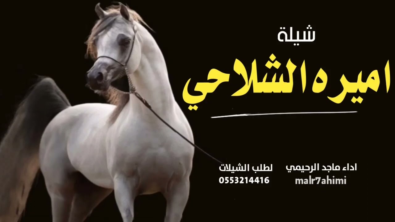 شيله / اميره الشلاحي / اداء/ ماجد الرحيمي