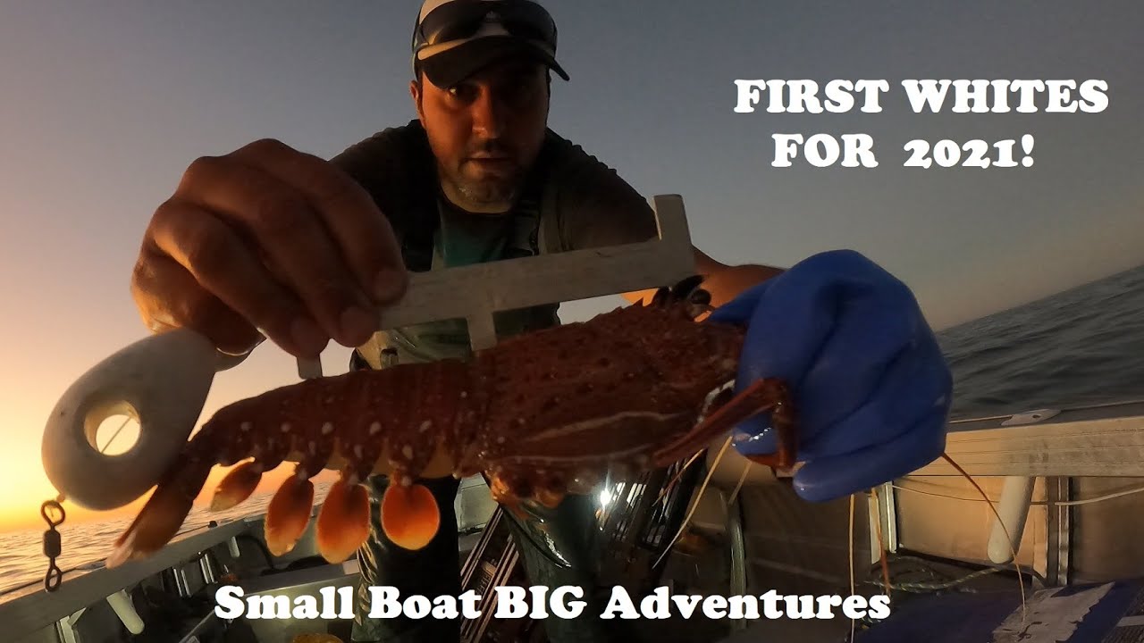 THE WHITES ARE ON! CRAYFISHING, PULLING POTS, WESTERN AUSTRALIA