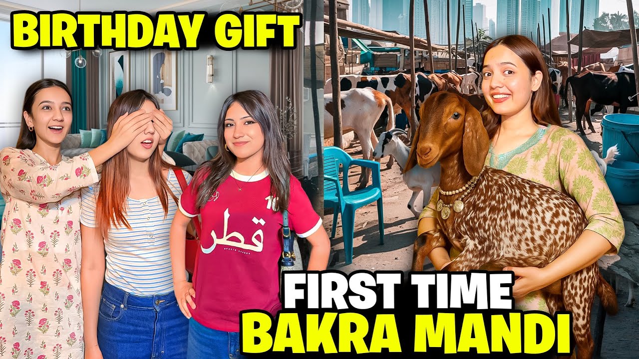 Qurbani Ky Bakry Ly Liya🥰🐄|Alhamdulillah😇|Haya Ny Zainab Ko Birthday Surprise Diya♥️🤩|Sistrology