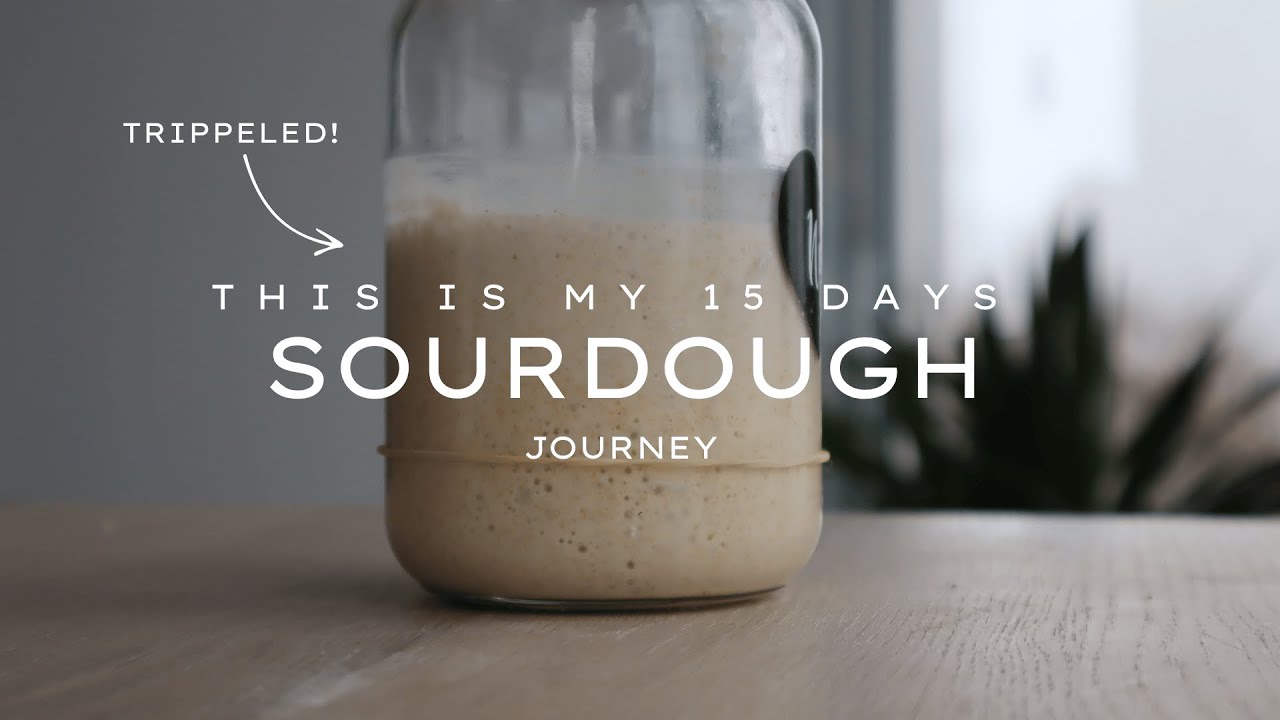I Made A Sourdough Starter For The First Time