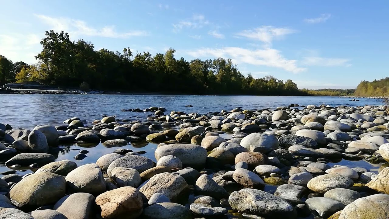 10 hours of Birds Singing on the River and Water Sounds - Free TV Backgrounds
