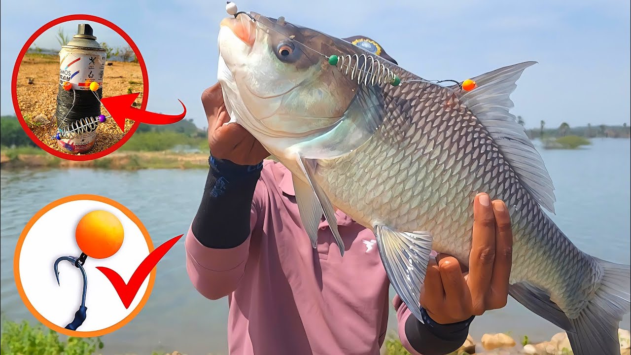 Big Fish Catching Videos | Feeder Fishing For Carp | Fishing Videos Village | Fish Catching Videos