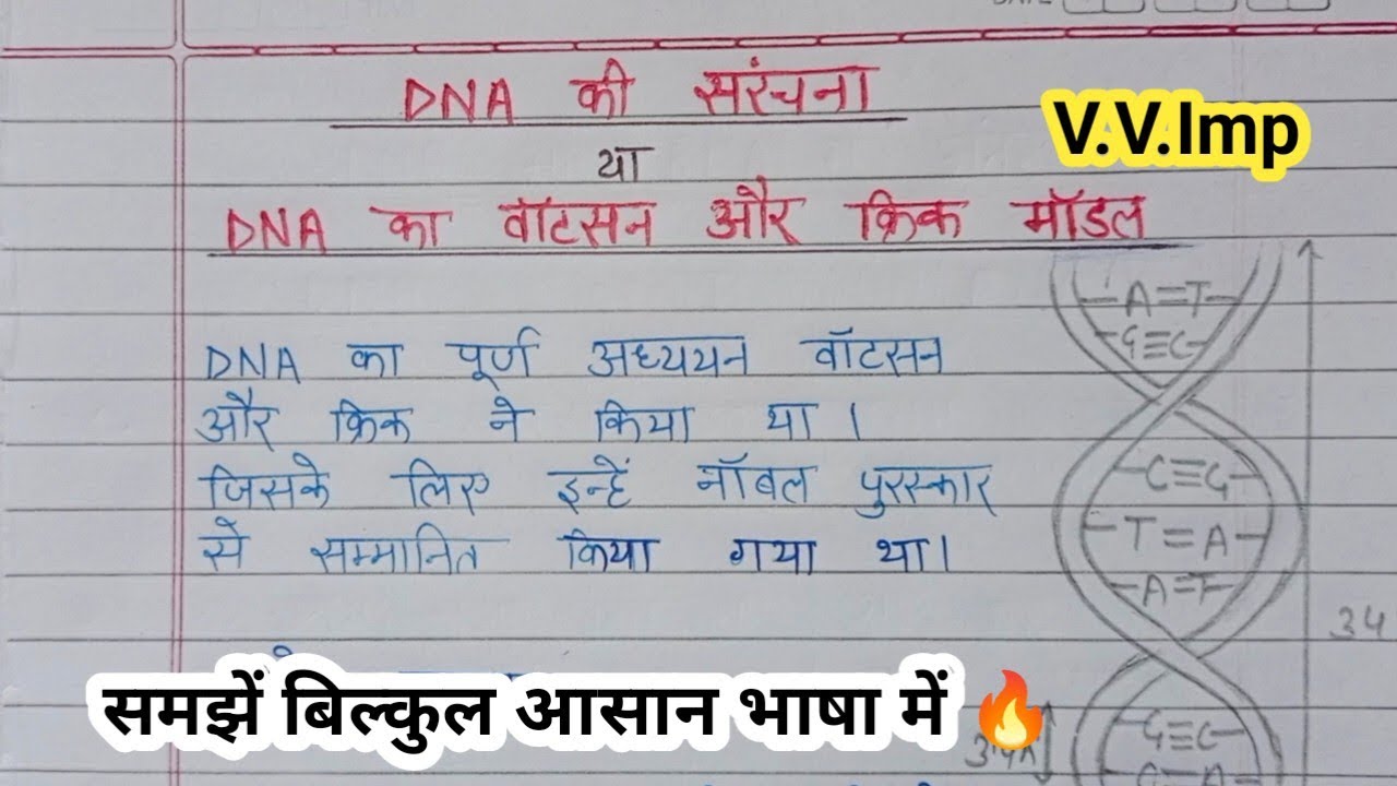 DNA की संरचना🧬| DNA का वाटसन और क्रिक मॉडल | Structure of DNA | Watson and Crick Model Of DNA 