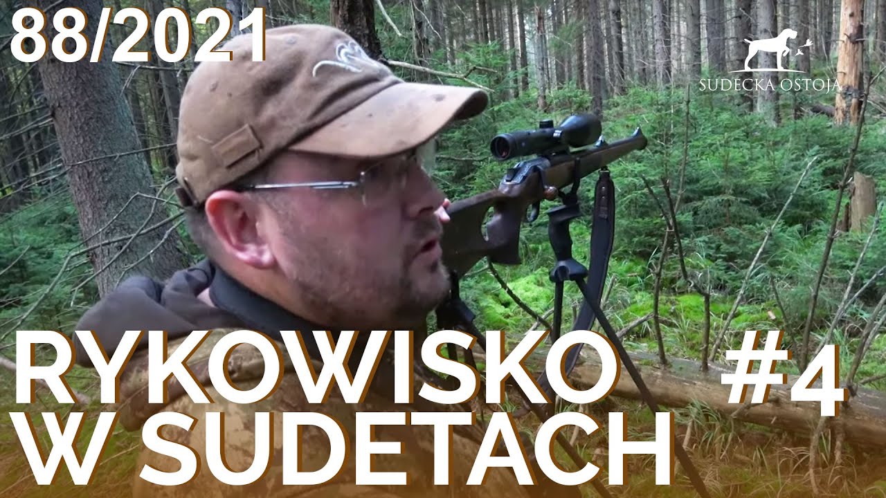 SUDECKA OSTOJA 88/2021. Deer Hunting. Rykowisko polowanie na jelenie. Wild jagen. Chasse au cerf