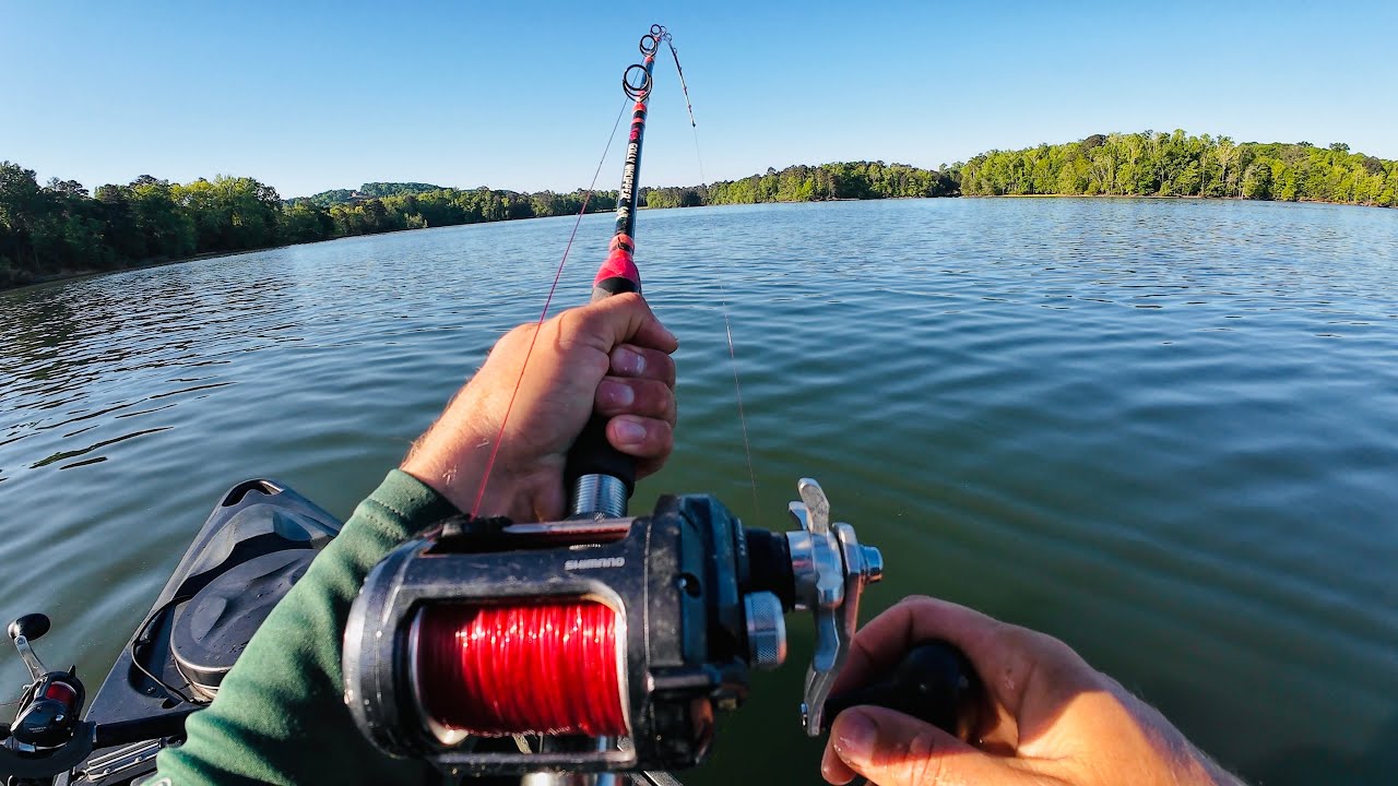 BIG Catfish Tries to Rip Bait Out of Fish's Mouth