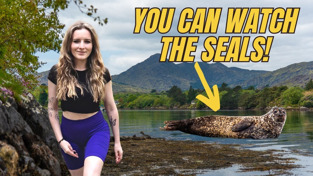 Garnish Island Walkthrough, Glengariff, West Cork | The Wild Atlantic Way