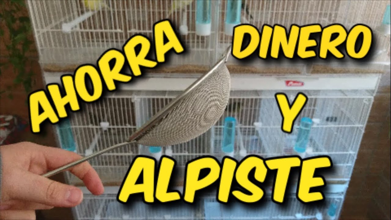 AHORRA DINERO Y ALPISTE