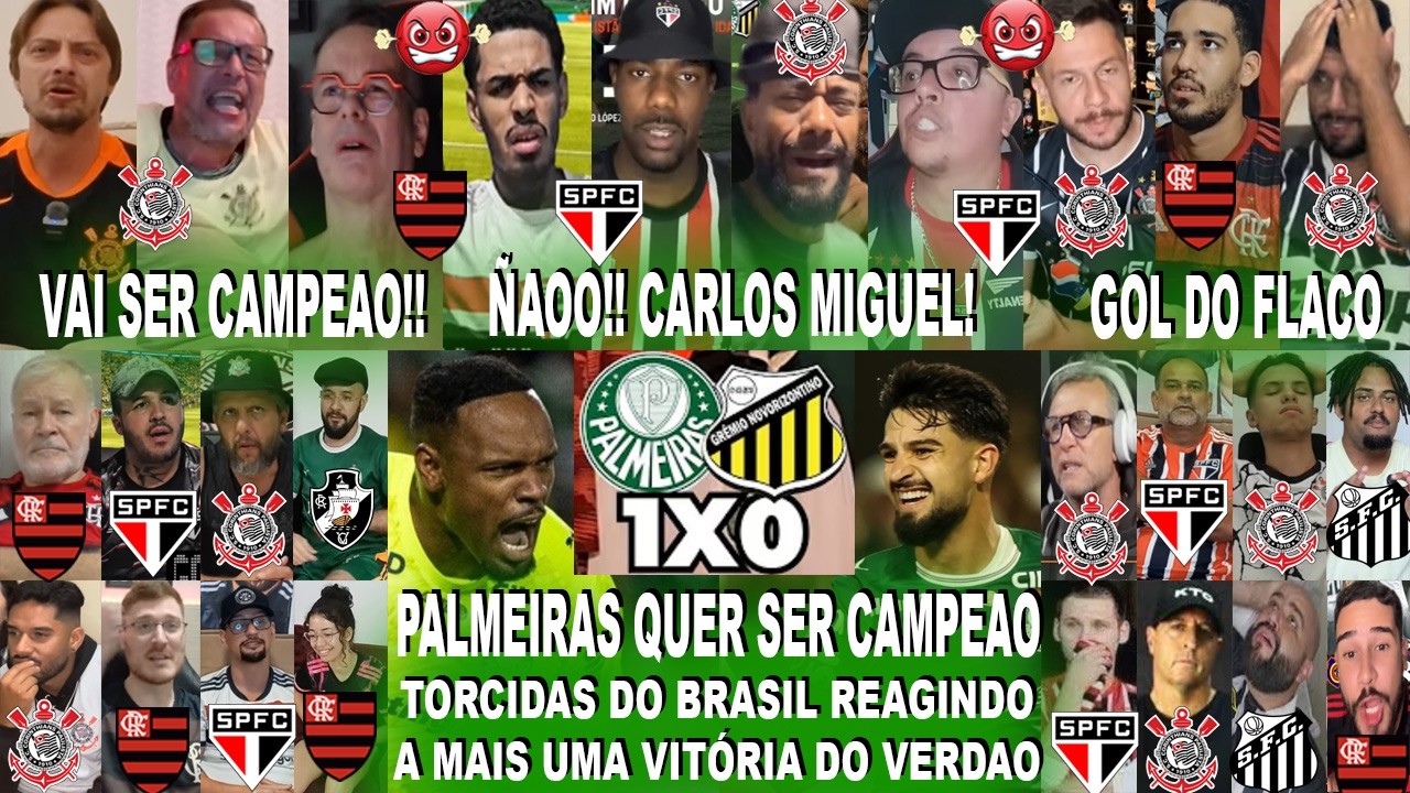 TORCIDAS DO BRASIL AO PALMEIRAS 1X0 NOVORIZONTINO COM GOL DO FLACO LÓPEZ E SHOW DO CARLOS MIGUEL