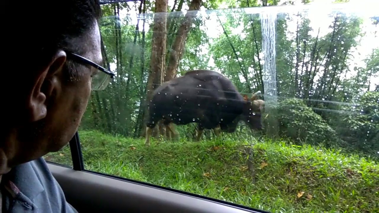 Parambikulam Tiger Reserve
