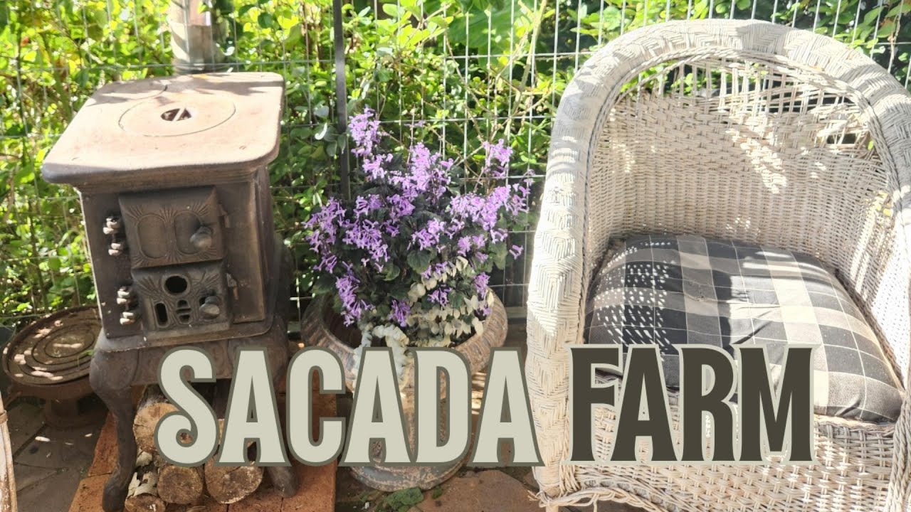 Antes e Depois da Minha Sacada Farm