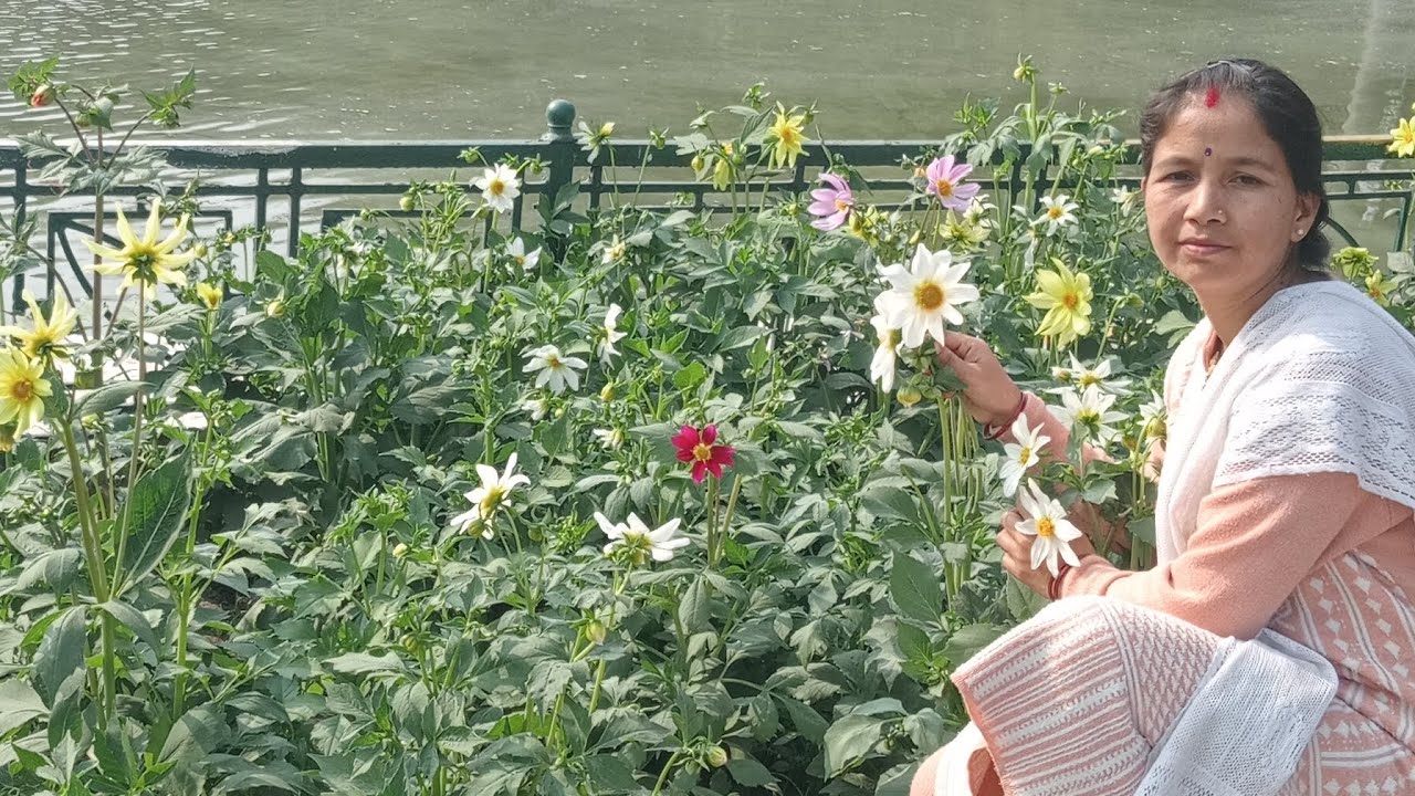 Nice Day video 51##india #travel #travelblog #travelvideo 
