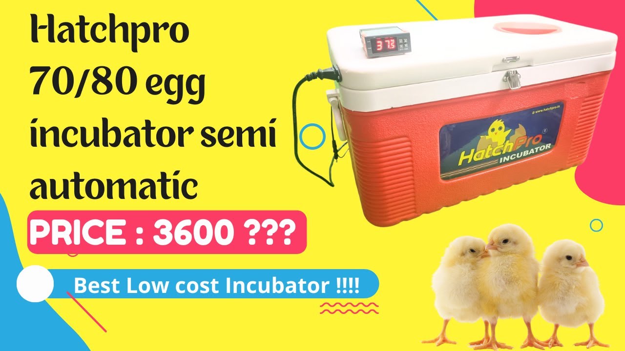 Hatchpro 70/80 Eggs low price Semi automatic egg incubator working | Automatic temperature control