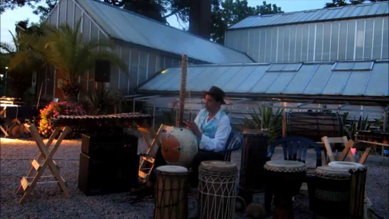 Salimou: Kora music by Albert Distelbrink