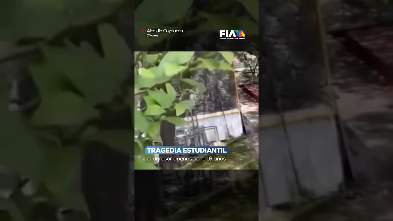 Momento exacto en que joven ataca en CCH Sur: Se reporta un fallecido y un herido