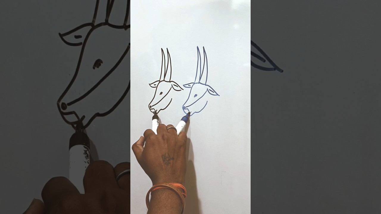 bull easy drawing 