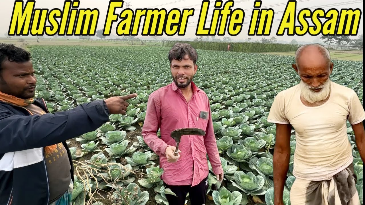 Village life in Assam || Muslim farmer life in Assam || Assam India @markajourney