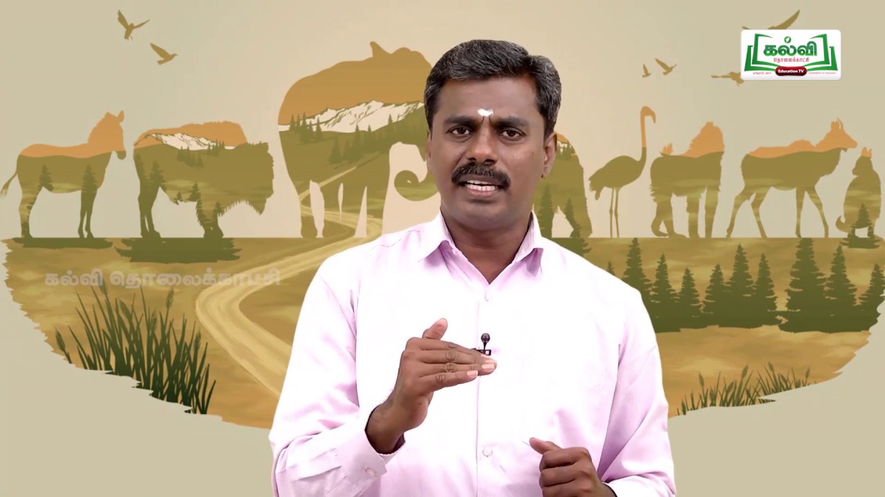 Class 10 |வகுப்பு 10|அறிவியல்|அலகு 17|தாவரங்கள் மற்றும் விலங்குகளில் இனப்பெருக்கம்| பகுதி 1|Kalvi TV