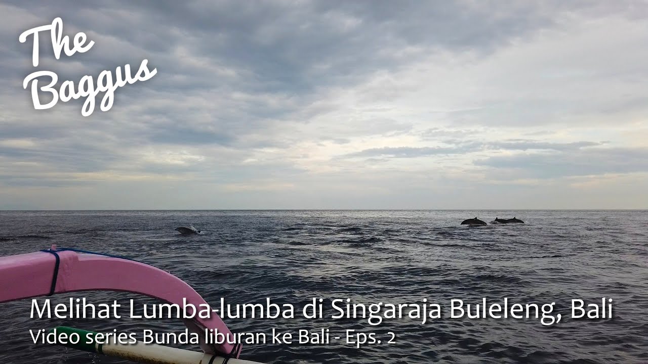 Melihat Lumba-lumba di Singaraja Buleleng, Bali | Video Series Bunda Liburan Ke Bali - Eps. 2