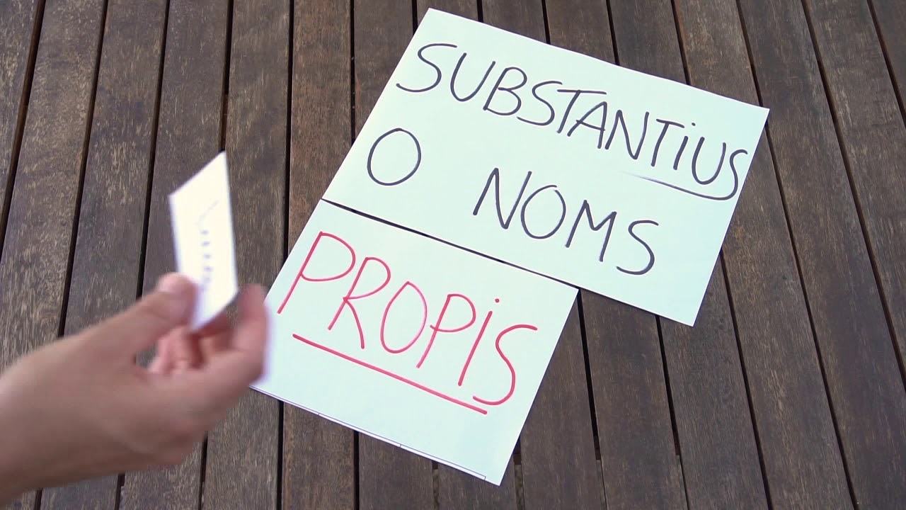 SUBSTANTIUS COMUNS I PROPIS