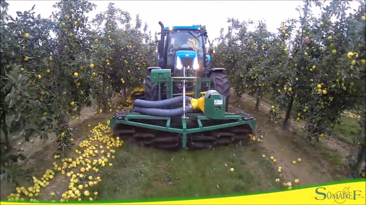 Machine de recolte Pommes a cidre au sol   MVTEC   installee sur tracteur