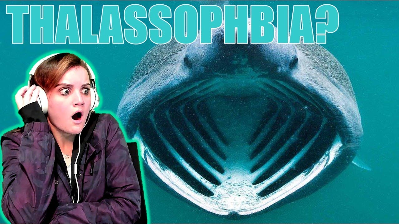 Do I Have THALASSOPHOBIA?