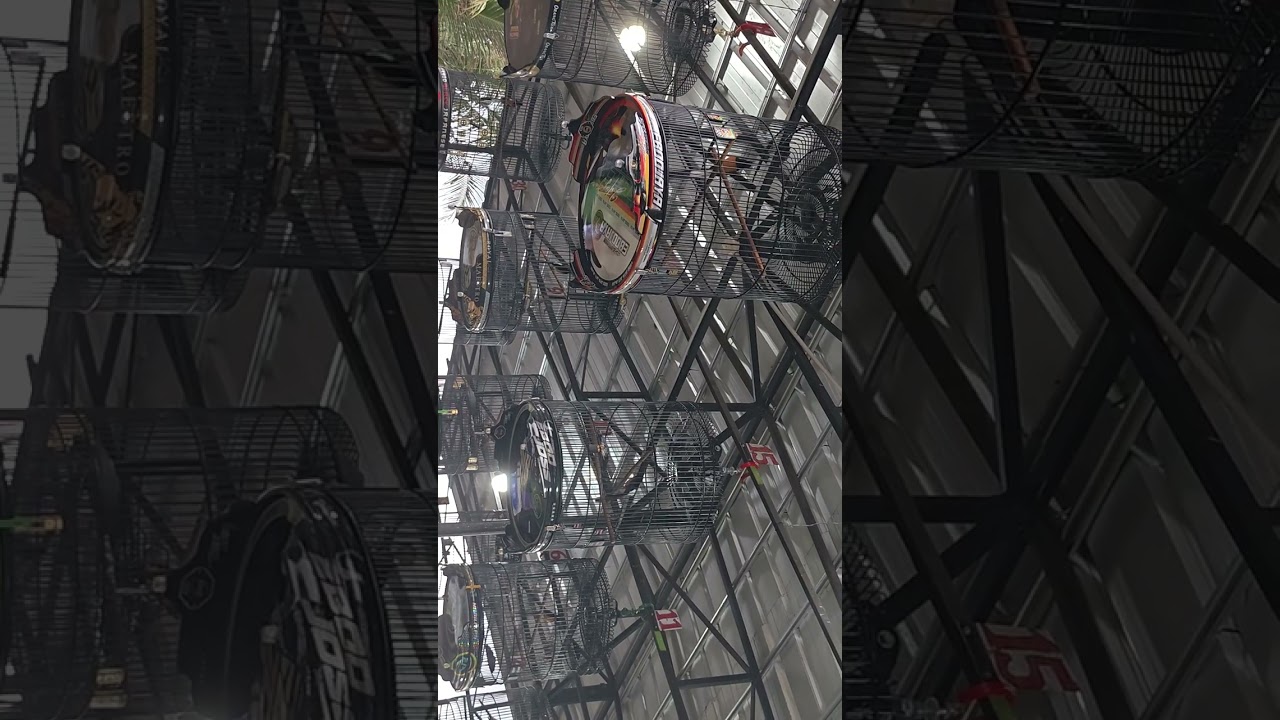 Murai batu kongslet di gelaran banjit arena bikin heboh jawara jawara murai lampung🤩