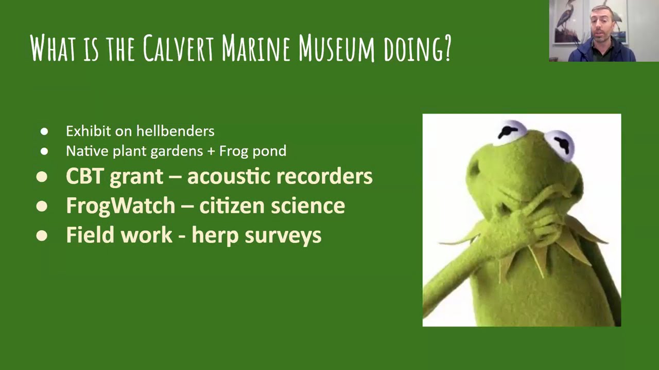 Herping &ndash; fieldwork and leading a survey - Herp Club Nov