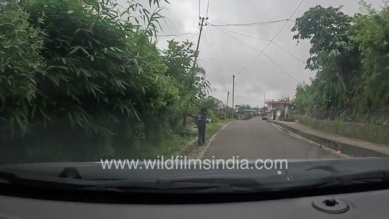 Driving Through Cloudy Villages in Meghalaya | Green Fields & Hill Roads