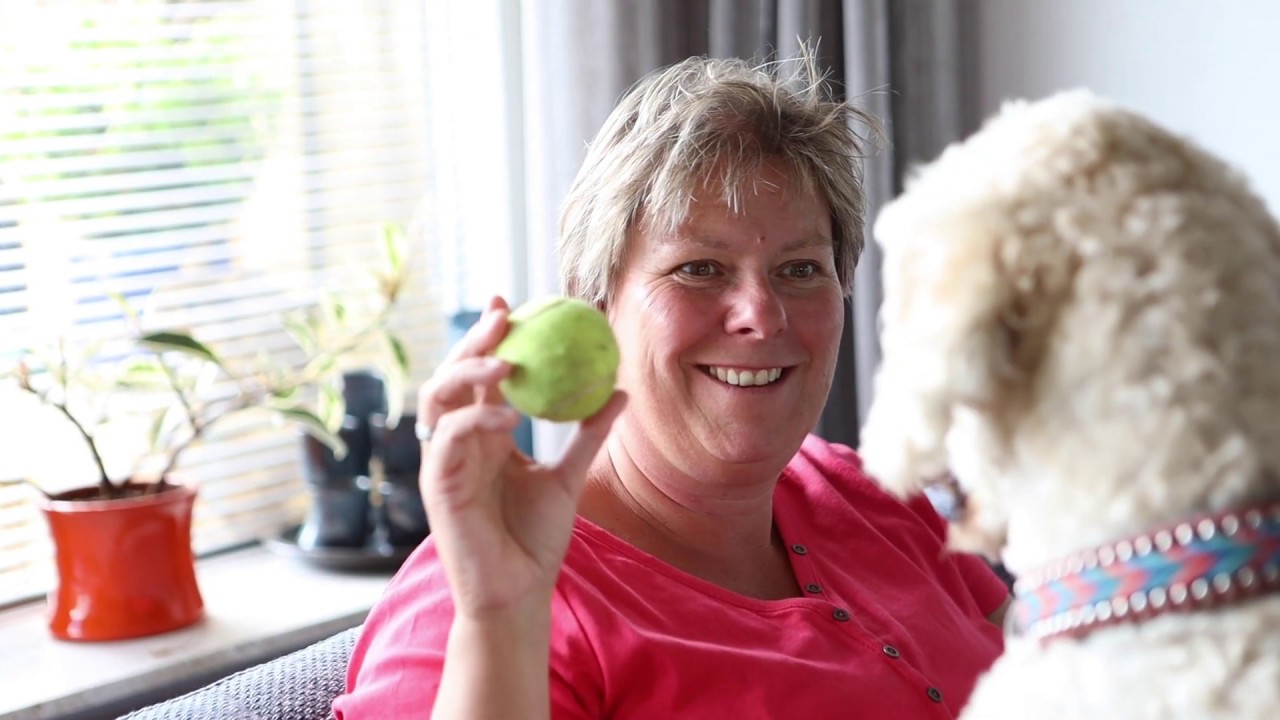 Een geleidehond aanvragen, wat komt daarbij kijken