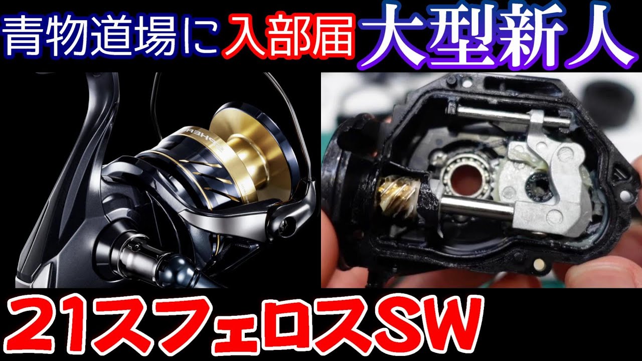 【分解】ベアリング追加で上位クラスを食っちゃうエントリー機を徹底解説【21スフェロスSW】